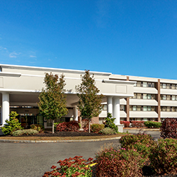 family with black shirts