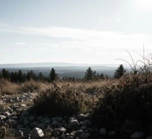 Common Mistakes to Avoid in Outdoor Photography